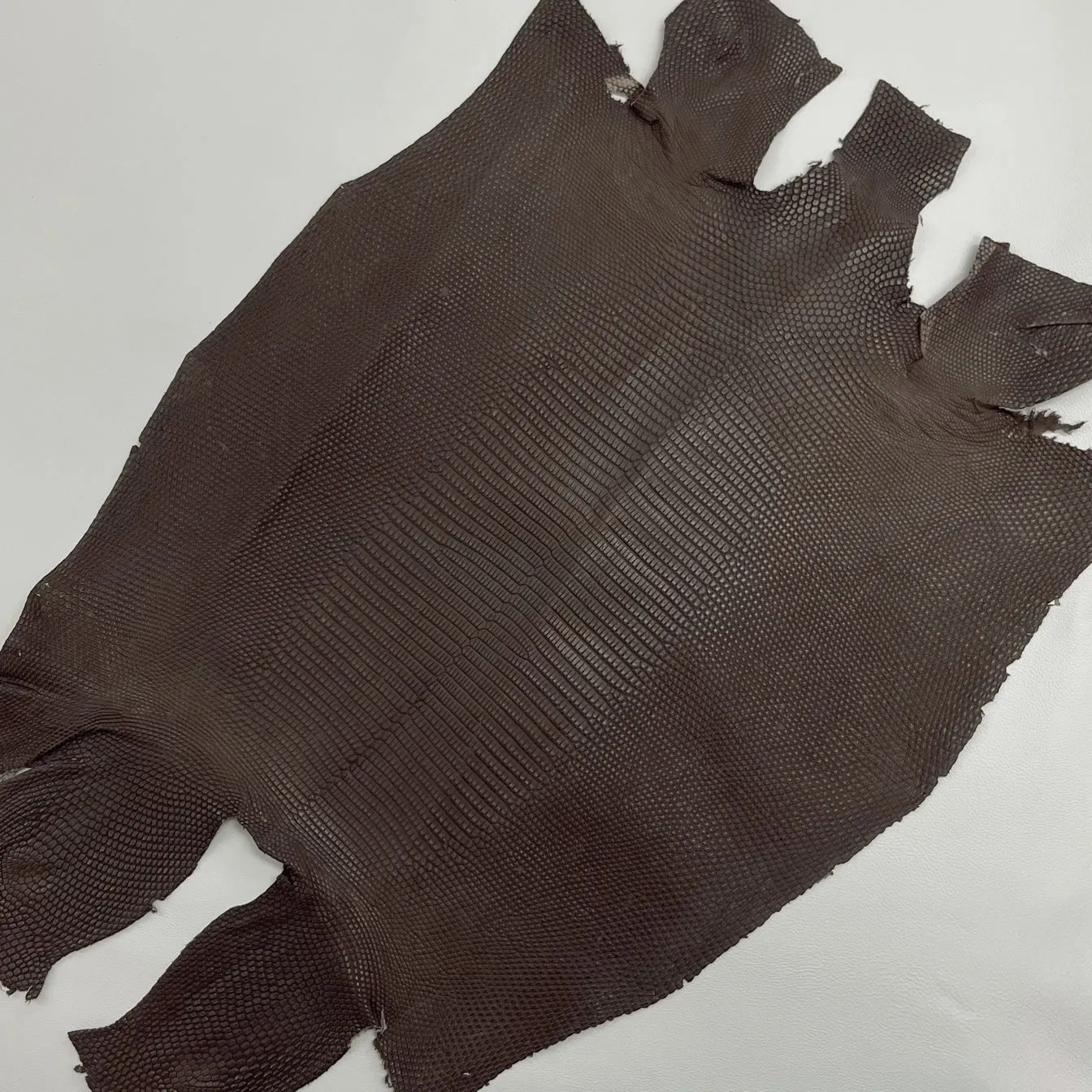 Lizard Skin | Brown Matte (Back Cut)