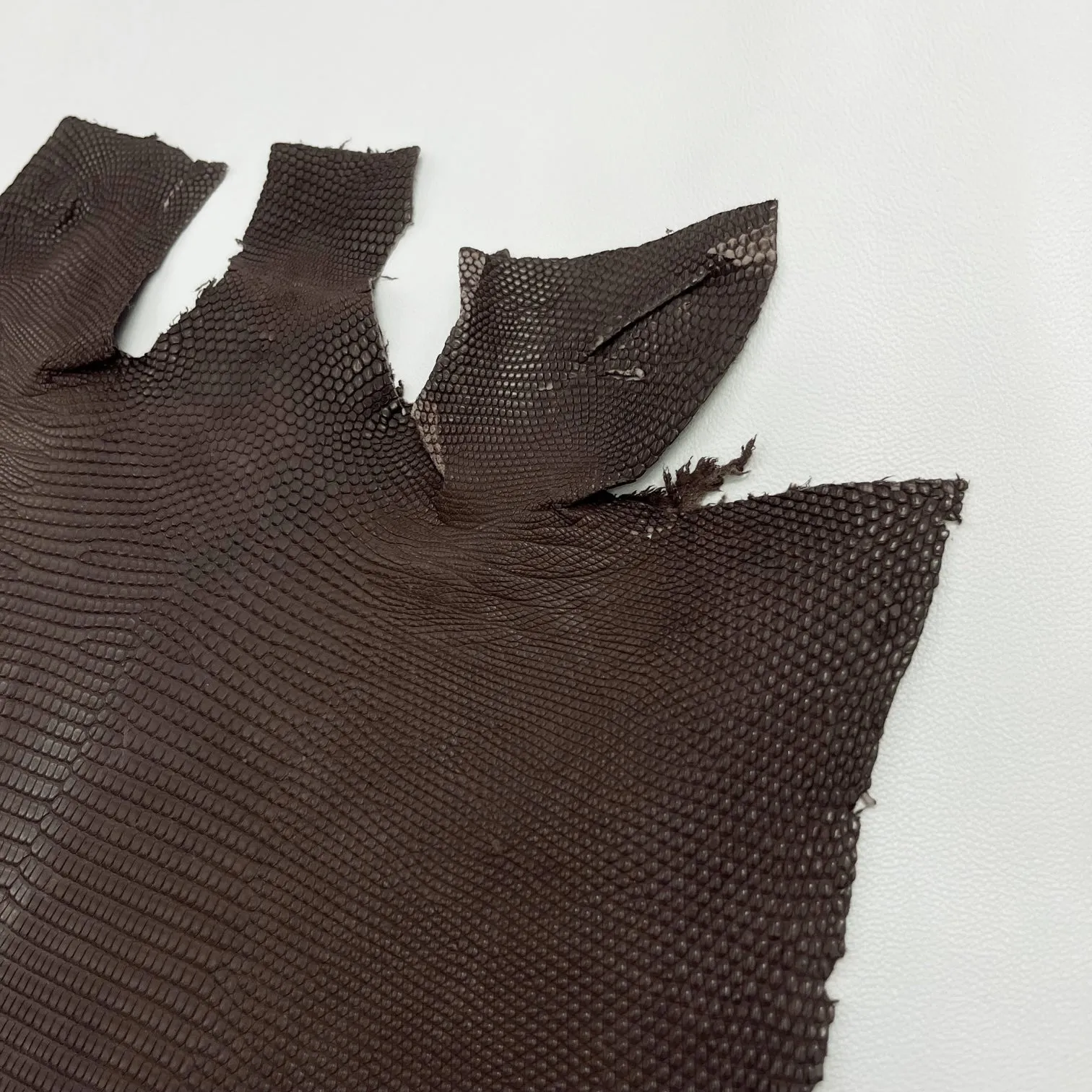 Lizard Skin | Brown Matte (Back Cut)