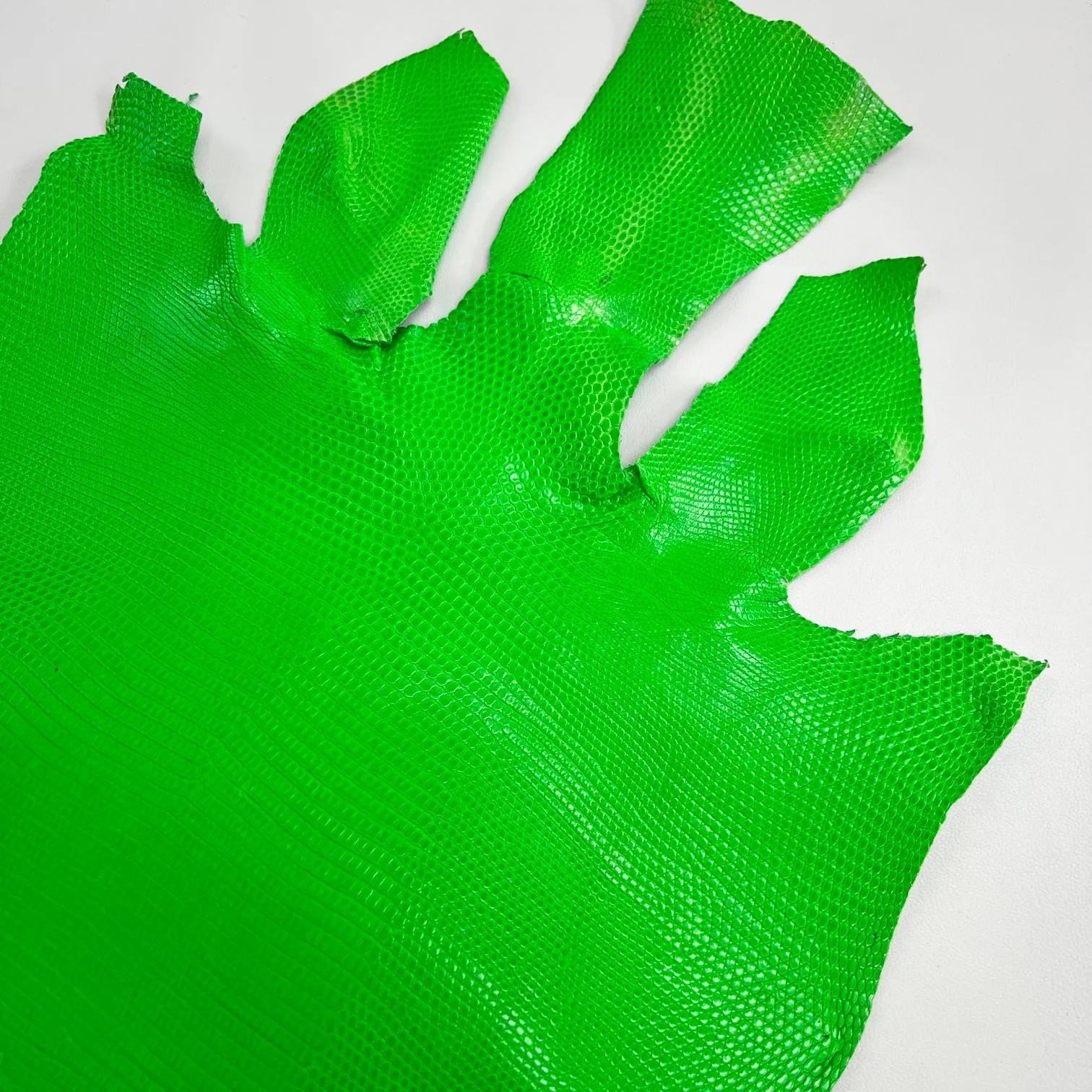 Lizard Skin | Neon Green (Back Cut)