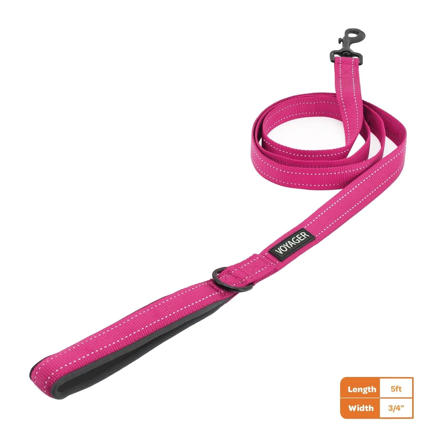 Reflective Leash & Dispenser Set: Ultimate Walking Companion